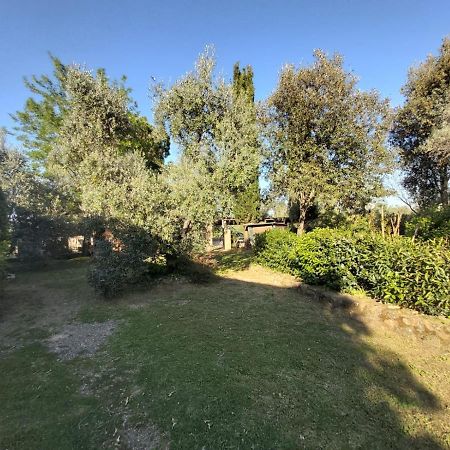 Tenuta Santa Maria Villa Campagnatico Екстериор снимка