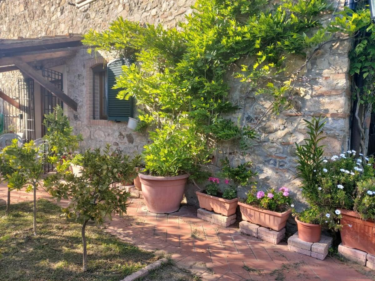 Tenuta Santa Maria Villa Campagnatico Екстериор снимка