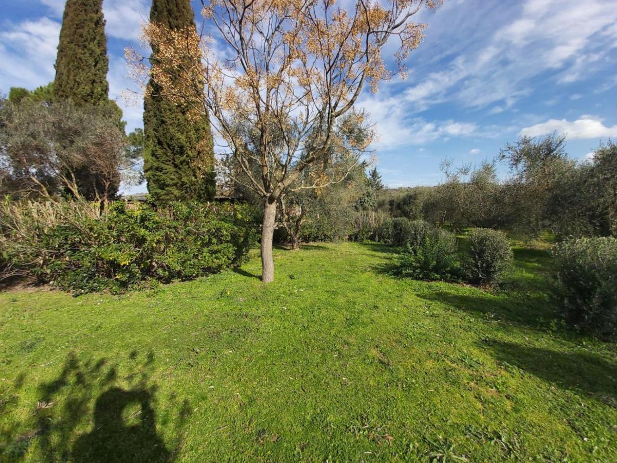 Tenuta Santa Maria Villa Campagnatico Екстериор снимка