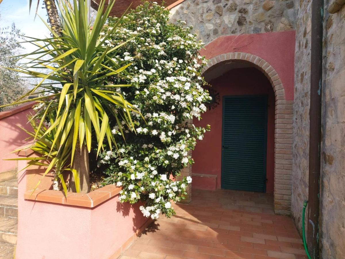Tenuta Santa Maria Villa Campagnatico Екстериор снимка