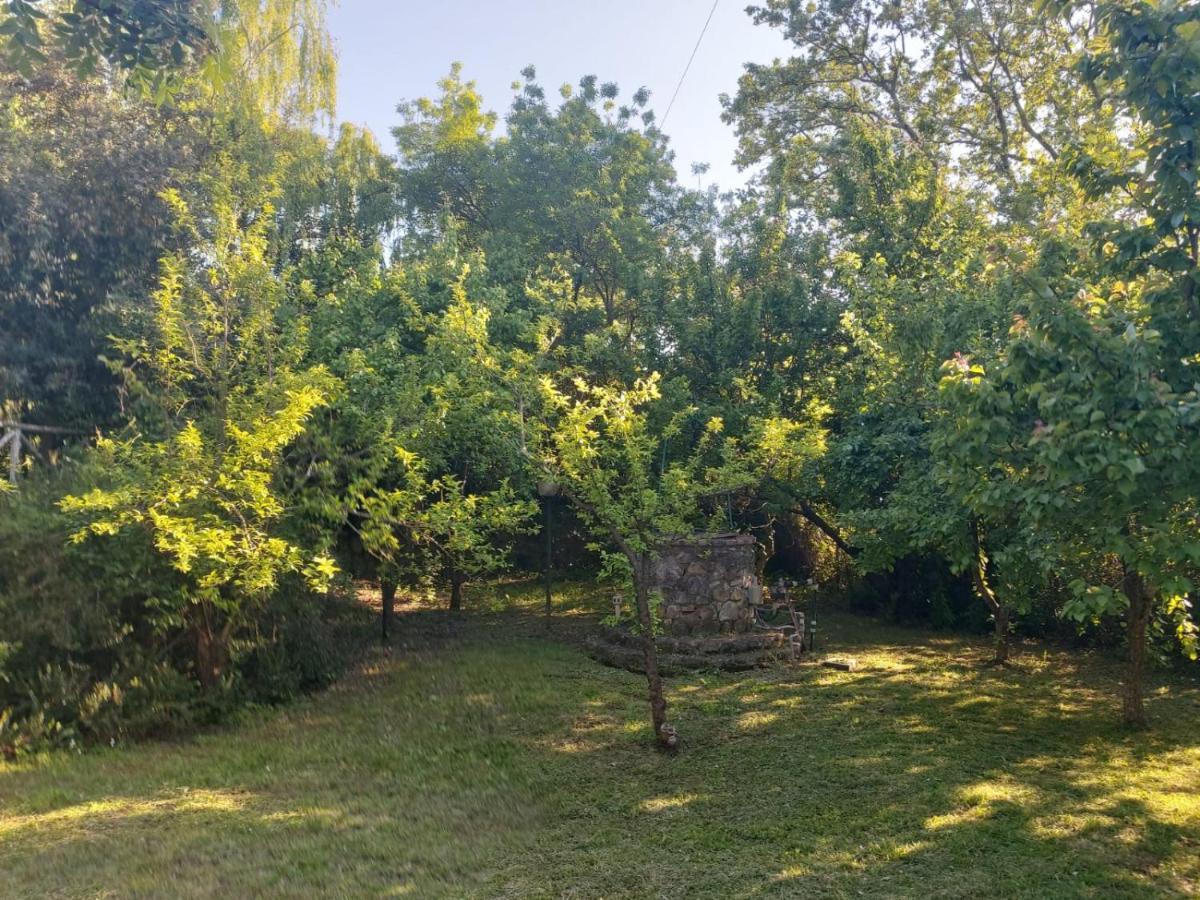 Tenuta Santa Maria Villa Campagnatico Екстериор снимка
