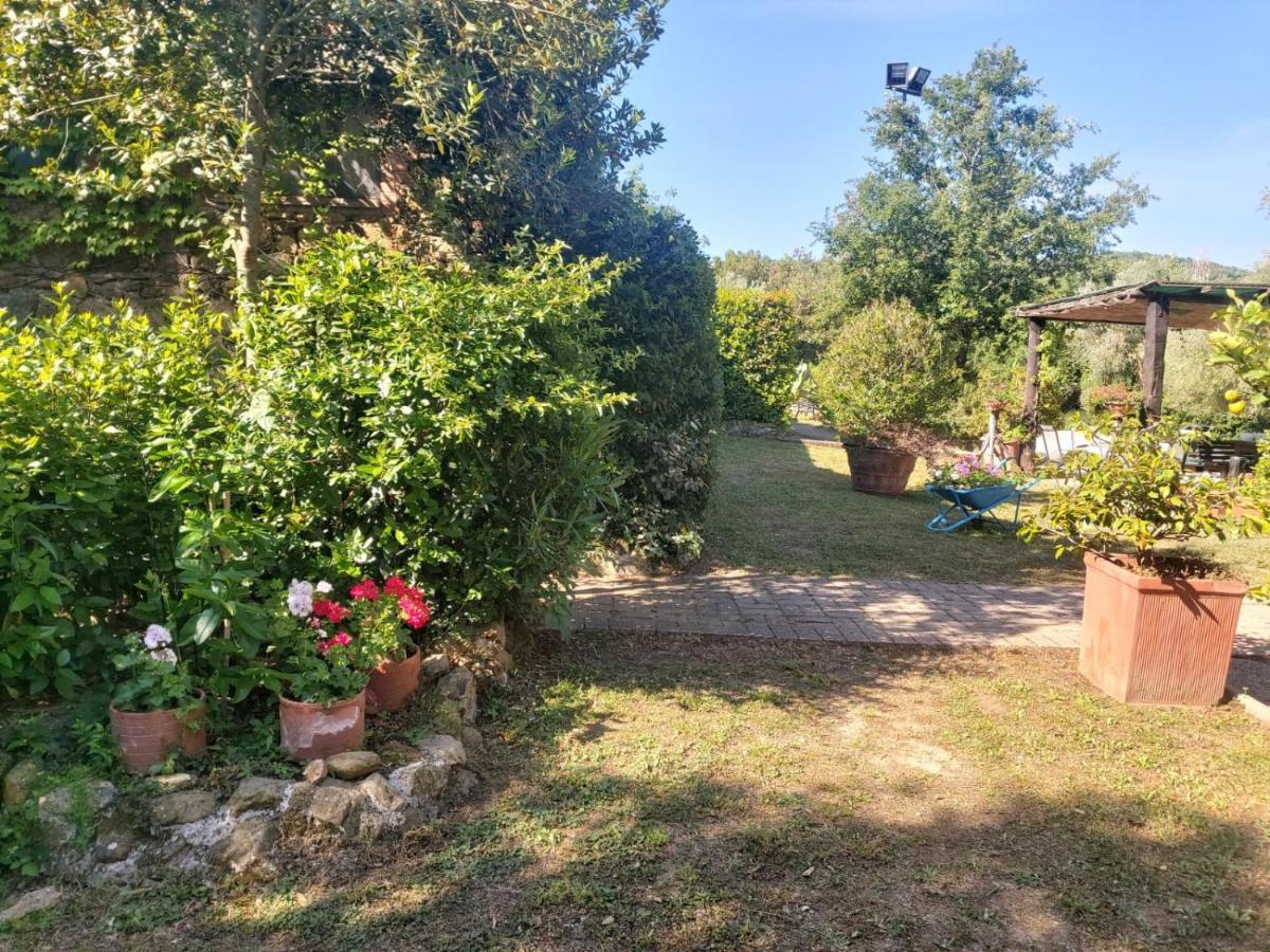 Tenuta Santa Maria Villa Campagnatico Екстериор снимка