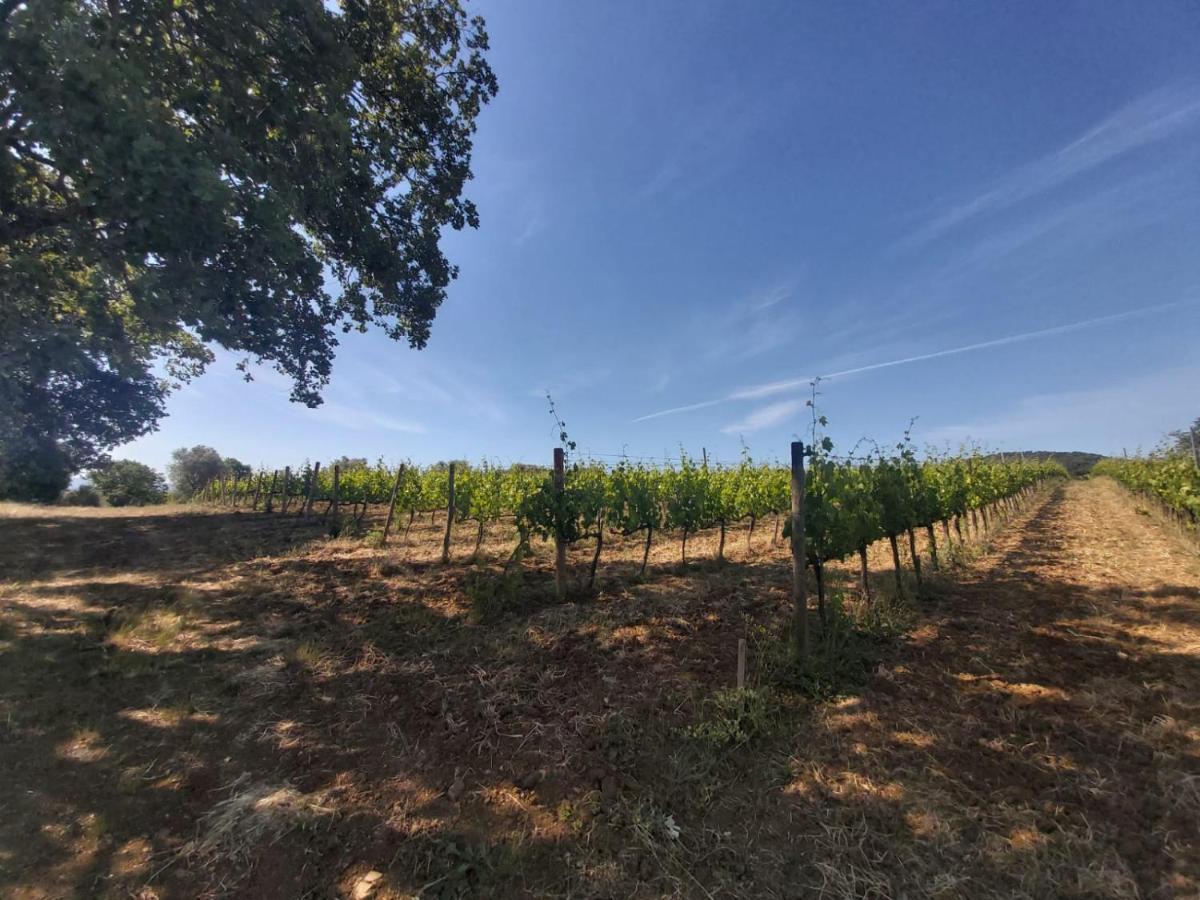 Tenuta Santa Maria Villa Campagnatico Екстериор снимка