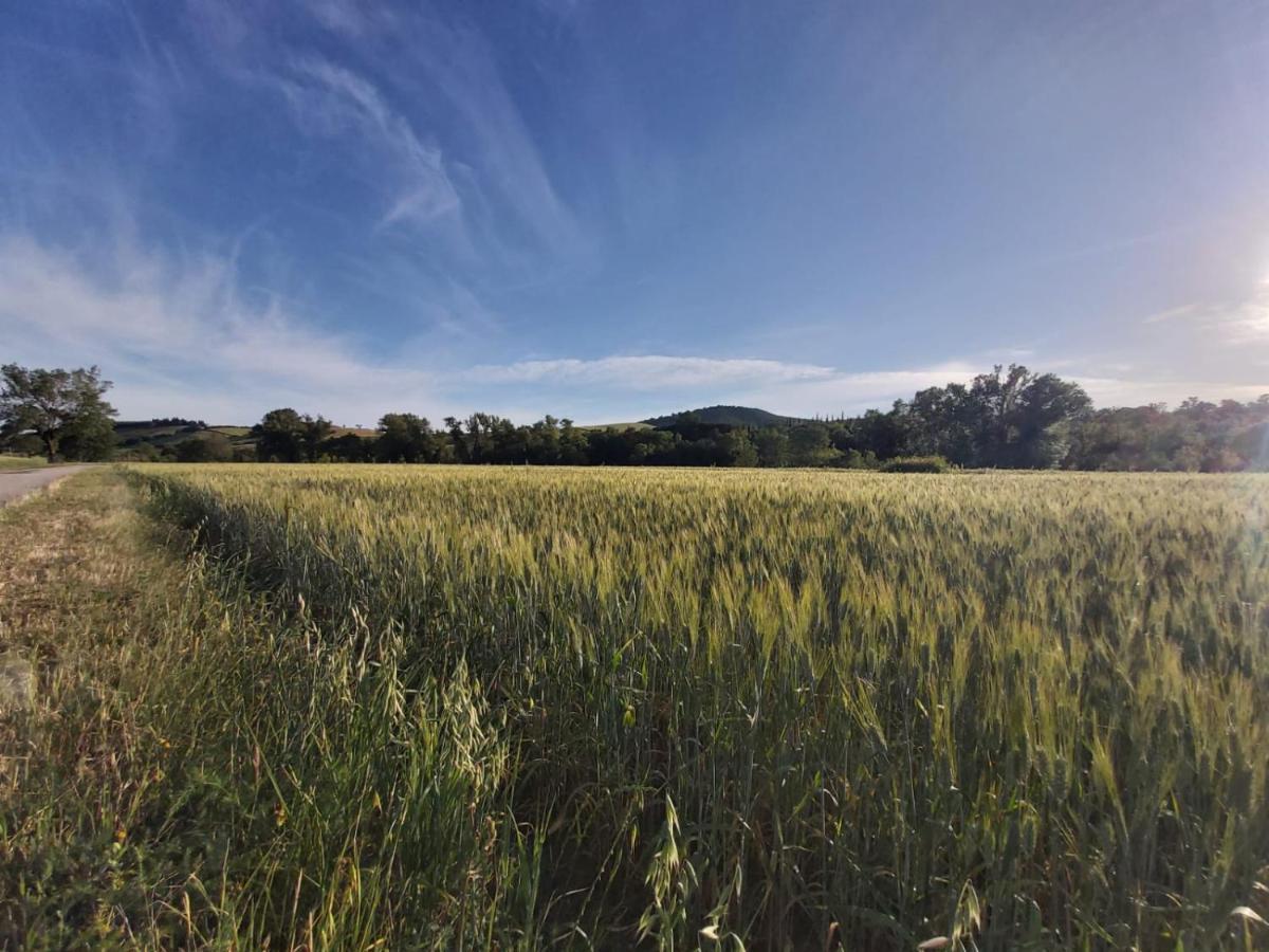 Tenuta Santa Maria Villa Campagnatico Екстериор снимка